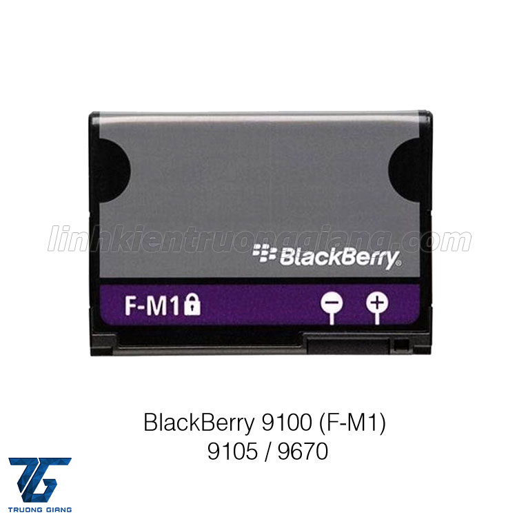 Pin BlackBerry 9100 (FM1) / 9105 / 9670 Pin Blackberry