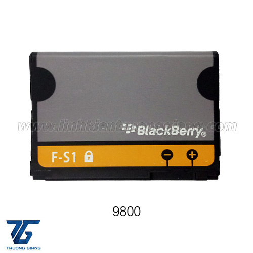 Pin BlackBerry 9800 (FS1) / 9810 Pin Blackberry